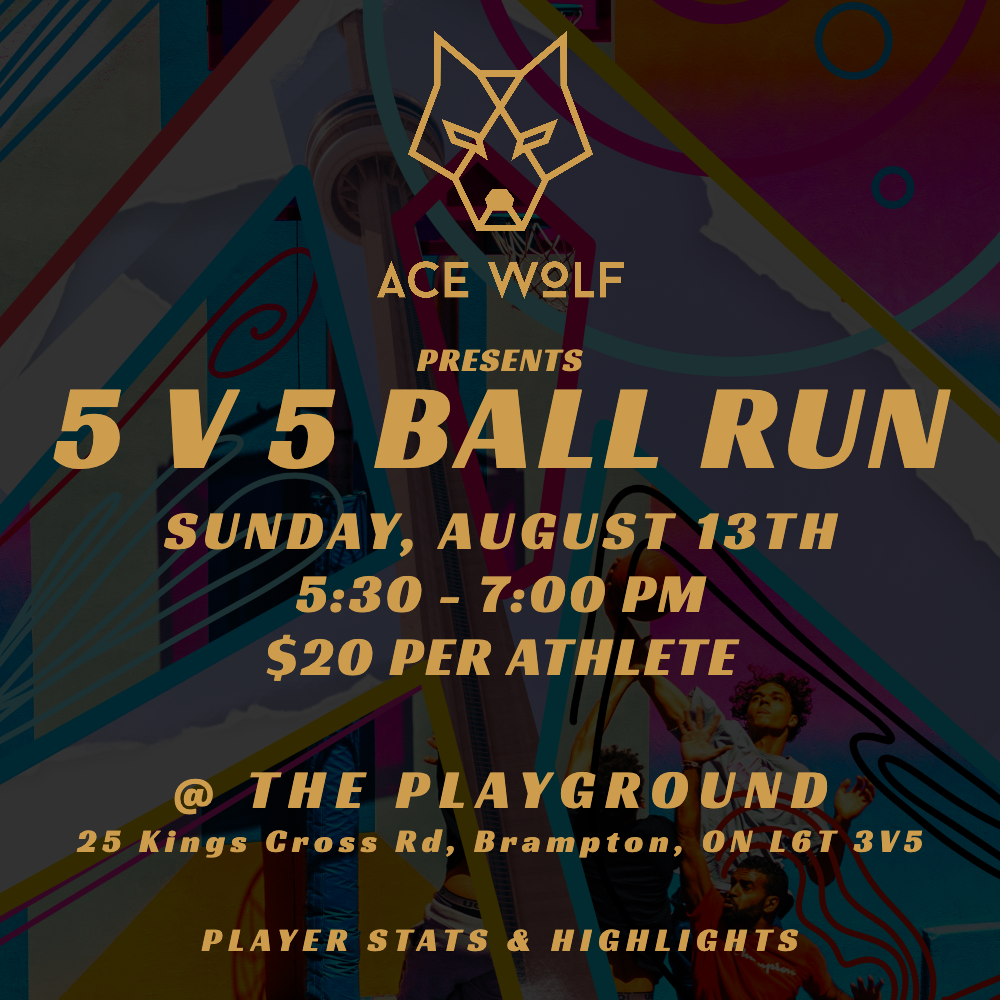 5V5 BALL RUN